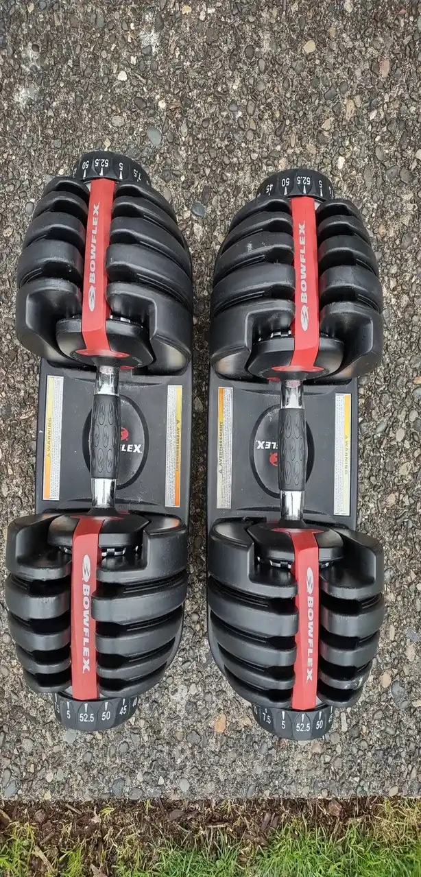 Bowflex SelectTech 552 dumbbells image 2